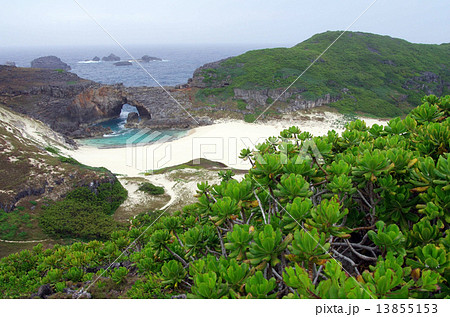 南島の扇池(父島南西沖の小さな無人島) 南島の扇池(父島南西沖の小さな無人島) 13855153