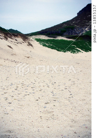 南島のヒロベソカタマイマイ(父島南西沖の小さな無人島) 南島のヒロベソカタマイマイ(父島南西沖の小さな無人島) 13855157