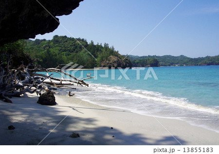 境浦海岸からの風景(父島) 境浦海岸からの風景(父島) 13855183