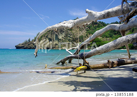 境浦海岸からの風景(父島) 境浦海岸からの風景(父島) 13855188