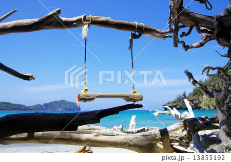 境浦海岸からの風景(父島) 境浦海岸からの風景(父島) 13855192