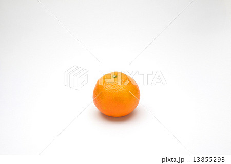 果物 いよかん 果物 いよかん 13855293