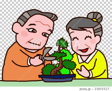 Two people who enjoy bonsai, senior Two people who enjoy bonsai, senior 13855527