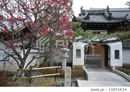 京都　法住寺 13855634