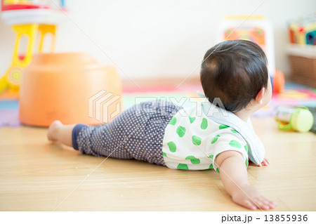 nine months old nine months old 13855936