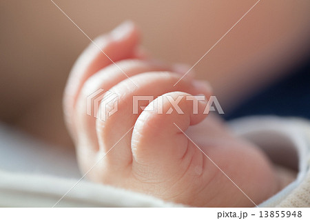 four months old 13855948