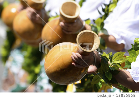 イプの響き イプの響き 13855958