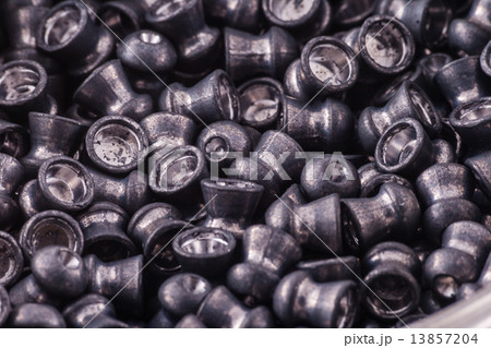 Airgun Pellets 13857204