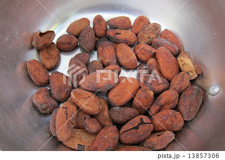 カカオ豆 13857306