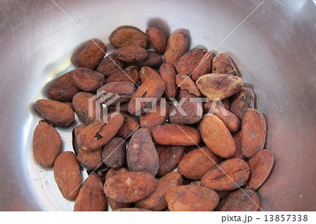 カカオ豆 カカオ豆 13857338