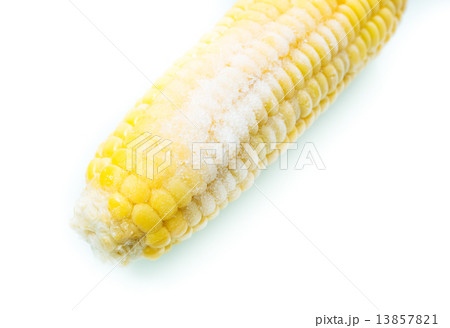 Frozen cob of corn on white background 13857821