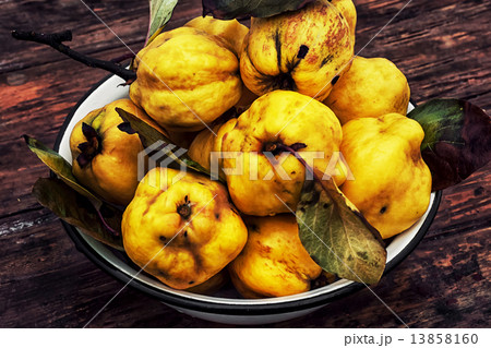ripe quince ripe quince 13858160