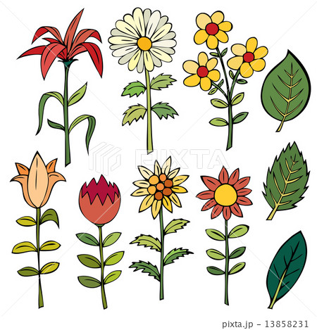 Various summer flowers. Various summer flowers. 13858231