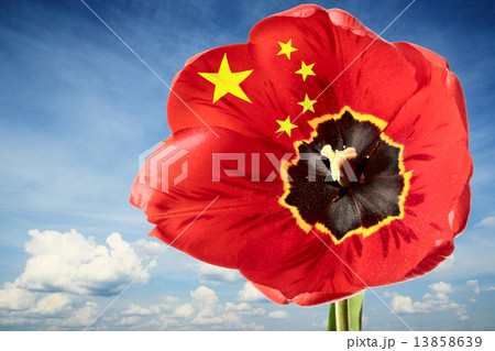 China flag 13858639