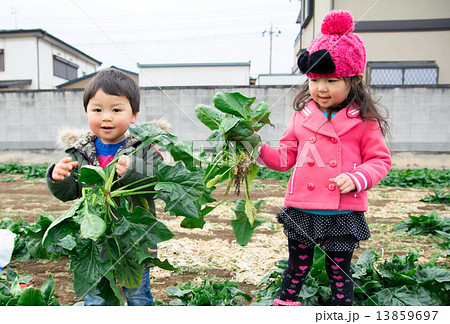 野菜と仲良しな二人 13859697