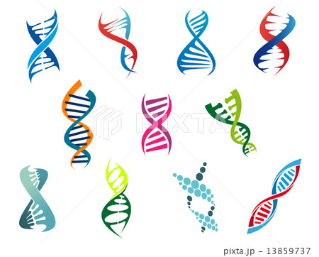DNA molecules and symbols 13859737