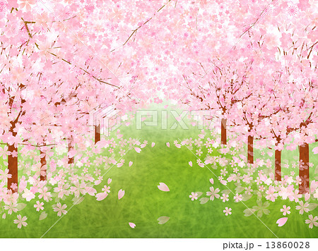 桜 花 背景のイラスト素材