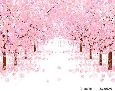 桜 花 背景のイラスト素材 13860029 Pixta