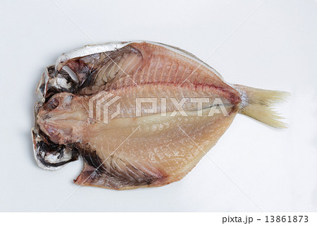 エボダイの干物 13861873
