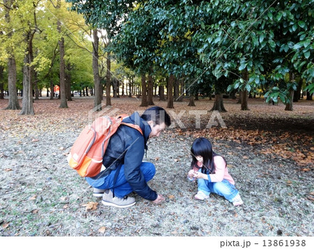 どんぐりひろい どんぐりひろい 13861938