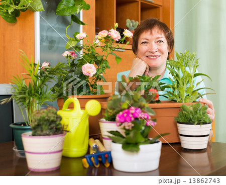 Grandmother gardener with plants 13862743
