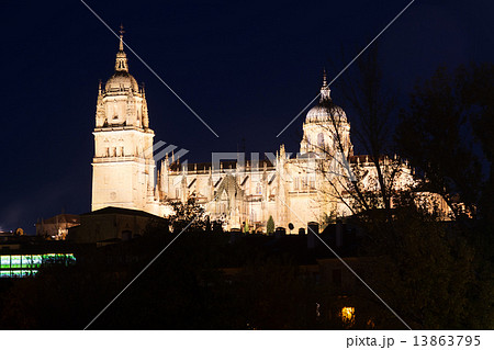 Cathedral of Salamanca in midnight 13863795
