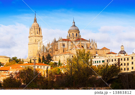 Cathedral of Salamanca in  autumn 13863812