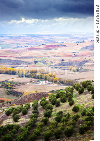 agricultural fields 13863823