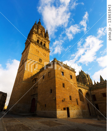 Tower of Cathedral in Salamanca 13863843