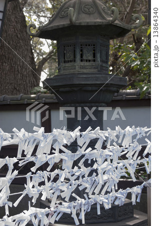 おみくじ 13864340