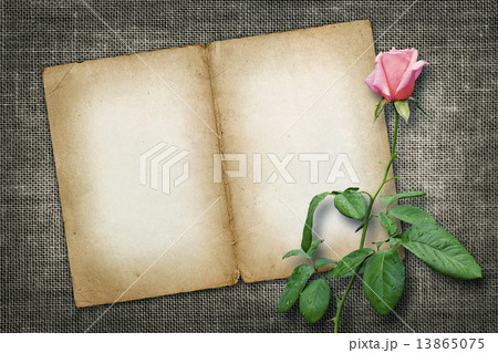 Card for invitation or congratulation with yellow rose 13865075