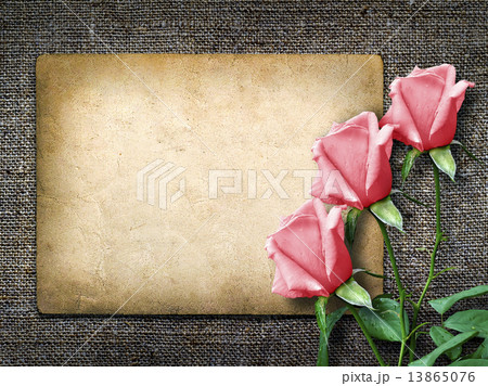 Card for invitation or congratulation with pink rose 13865076
