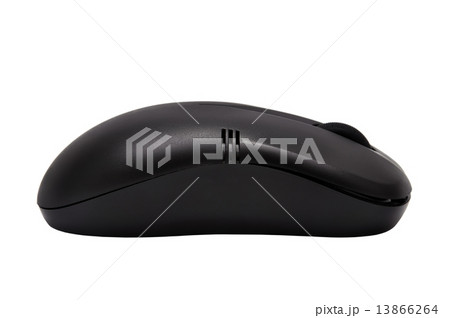 computer  mouse 13866264