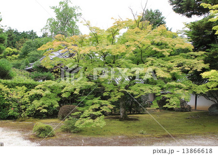 随心院 13866618