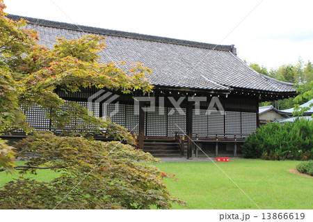 勧修寺 13866619