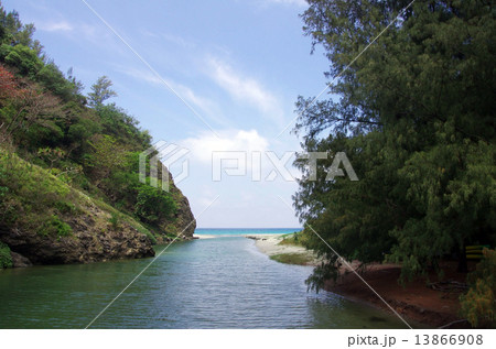 八瀬川(小港海岸の風景(父島)) 八瀬川(小港海岸の風景(父島)) 13866908