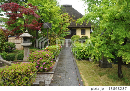 京都 瑞光寺 京都 瑞光寺 13868287