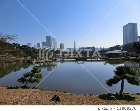 浜離宮恩賜庭園 浜離宮恩賜庭園 13868576
