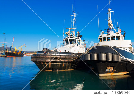Two Tugboats and Containers Ship 13869040