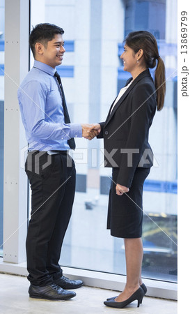 Business/Executive 13869799