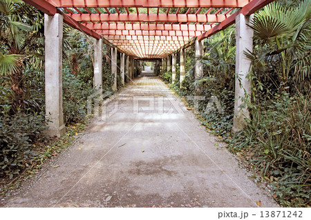 Pergola passage 13871242