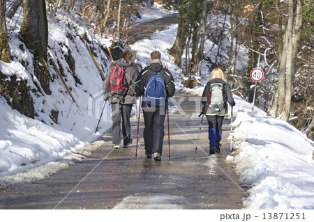 Trekking in the snow forest 13871251