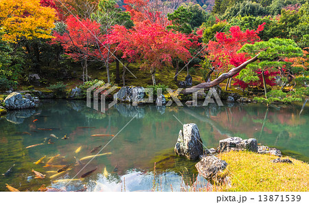 Tenryu-ji garden in fall, Arashiyama, Kyoto, Japan Tenryu-ji garden in fall, Arashiyama, Kyoto, Japan 13871539