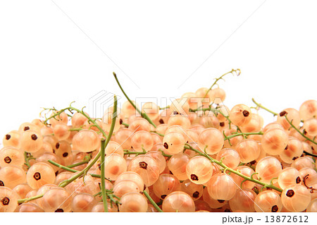 white currant white currant 13872612