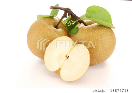 梨(豊水) 梨(豊水) 13872713