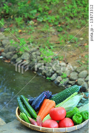 涼しげな夏野菜 涼しげな夏野菜 13873312