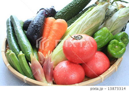 瑞々しい夏野菜 13873314