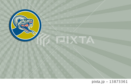 Business card Rattle Snake Head Circle Retro Business card Rattle Snake Head Circle Retro 13873361