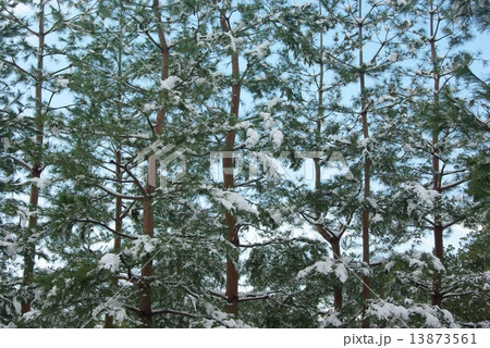 雪景色 13873561