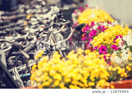 Bikes on parking and flowers in Amsterdam. Bikes on parking and flowers in Amsterdam. 13876964